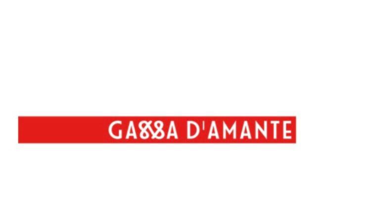 فيستَ B&B Gassa D'Amante المظهر الخارجي الصورة